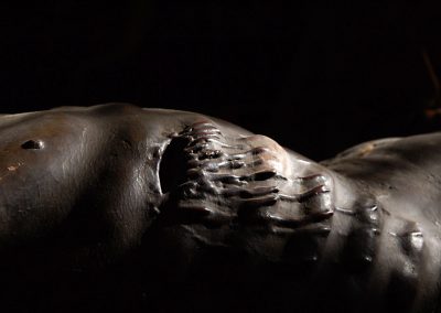 DSC_7571